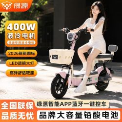 绿源 正品绿源电动车新国标电动自行车48V铅酸长续航电瓶车轻悠Y-go