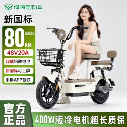 绿源 电动车悠乐新国标电动自行车48V铅酸长续航电瓶车可上牌Y-go