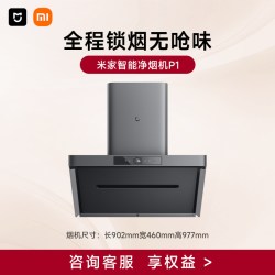 米家 P1系列 CXW-165-MJ04CY 侧吸式吸油烟机