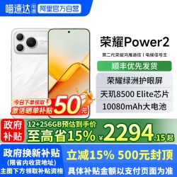 荣耀 Power2 5G手机
