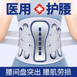 茗振 钢板护腰带夏季透气腰部支撑腰托腹部强力支撑久坐办公专用男女士