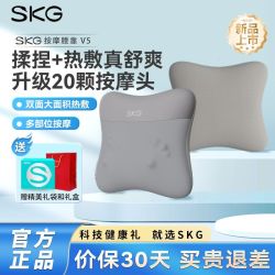 SKG 未来 多功能 腰部按摩仪