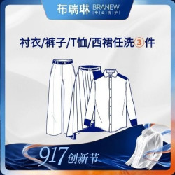 3件任洗衬衣/T恤/西裙/裤子＋熨烫