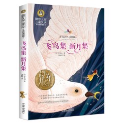 当当网 万花筒 国际大奖儿童文学系列童话故事