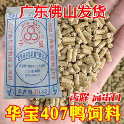 Beechip 成功1号罗非饵料武藏湖虾味肝味黑坑罗非专用颗粒大福寿鱼饵