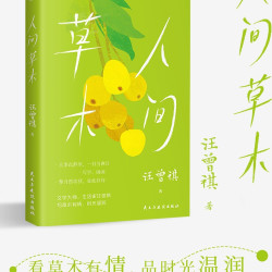 正版人间草木人间有味汪曾祺人间系列