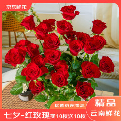 京东鲜花 七夕情人节红色玫瑰花20枝颜色生活玫瑰插花源头直发