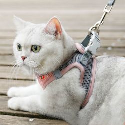 猫咪牵引绳防挣脱外出通用遛猫绳小型犬泰迪比熊胸背带绳子可调节