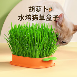 哈奇米 猫草盆栽水培种植化毛草猫薄荷幼猫小麦种子猫草猫零食宠物用品