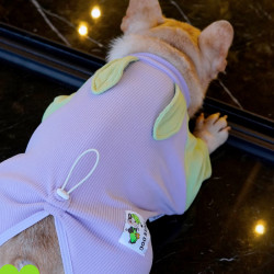 Tigerdog法斗四脚卡通睡衣胖狗狗卡通英斗巴哥柯基家居服宠物秋装