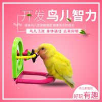 珍珠鸟虎皮小型鸟专用牡丹逗鹦鹉的必备玩具耐咬解闷神器鹦鹉玩具