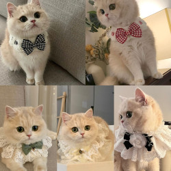 仙女蝴蝶结猫咪口水巾宠物围脖狗狗围兜项圈领结