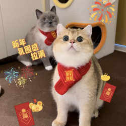 宠物小狗毛线围脖喜庆时尚圣诞冬季猫咪针织围脖
