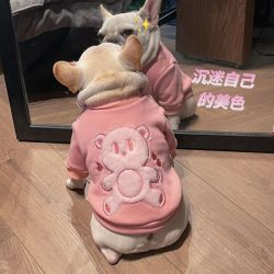 法斗巴哥套头小狗狗衣服雪纳瑞泰迪柯基宠物冬季加绒粉色小熊卫衣