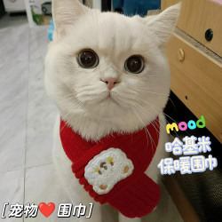 冬天宠物围巾猫咪保暖围脖针织宠物围脖猫围脖冬季新年围脖小猫咪