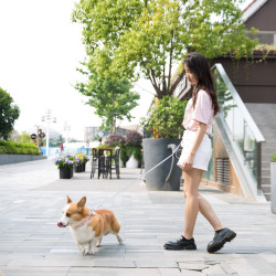 嬉皮狗 [达人]狗狗自动牵引绳遛狗挂钩中型小型犬泰迪柯基用2026