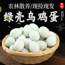 我老家 绿壳笨鸡蛋鲜鸡蛋农家散养新鲜乌鸡蛋现捡现发绿壳蛋50枚装