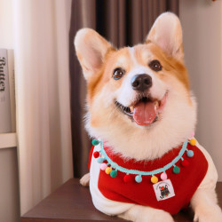 Tigerdog圣诞柯基柴犬田园犬加绒加厚奥粒绒T恤宠物衣服毛绒衣服