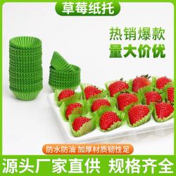 一次性绿色草莓纸托