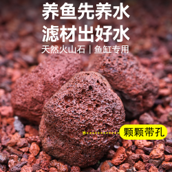 天然火山石颗粒铺底鱼缸造景底砂造景滤水过滤杂质疏松多孔透气