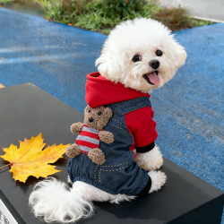 阿莫尔 宠物小熊变身装秋冬保暖贵宾犬法斗猫咪四脚中小型犬猫衣服秋冬款