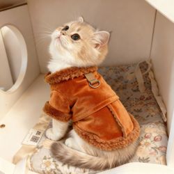 阿莫尔 小狗狗衣服秋冬季保暖两脚加厚棉衣泰迪带帽宠物猫咪防风外套冬季