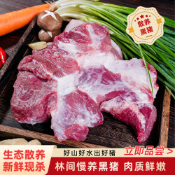 笆篱山 皖南农户家养旗舰店专享配送黑猪新鲜优质黑猪前腿肉