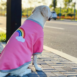 金毛休闲秋冬款拉布拉多柯基边牧两脚衣犬狗狗宠物大狗秋冬装1908