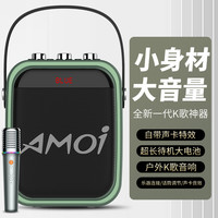 夏新 网红声卡K唱歌音响箱话筒手提背带乐器户外家庭蓝牙跳舞语音