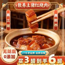 儿时味 湖南风味土猪红烧肉下酒菜下饭菜熟食家常
