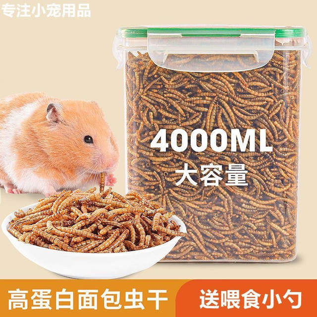 面包虫干罐装仓鼠粮食刺猬黄粉虫干龟粮仓鼠用品金丝熊主粮零食物
