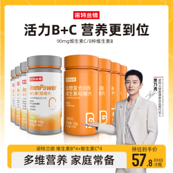 诺特兰德 复合维生素B族维生素C套餐咀嚼片60片/瓶 yb