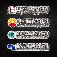 电动车汽车贴纸国家电网中石化中石油战略合作伙伴新能源车贴