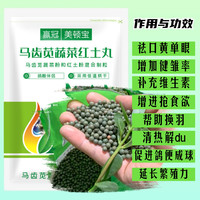 马齿苋蔬菜红土丸鸽粮用品沙门氏大肠杆霉菌型水变鸽营养鸽保健砂