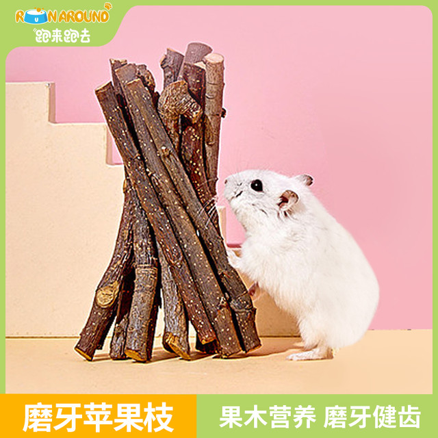 跑来跑去 仓鼠磨牙棒磨牙石多种兔子龙猫金丝熊健康苹果枝木磨牙枝零食用品