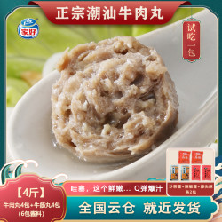 家好正宗潮汕牛肉丸牛筋丸250g特产Q弹爆汁火锅丸料组合