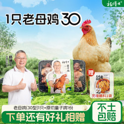 杨博士 土鸡正宗深山散养
