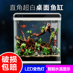森森 超白玻璃小鱼缸客厅卧室桌面家用水族箱生态鱼缸增氧自带充氧