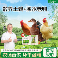 杨博士 食安放心杨博士土鸡深山散养童子鸡老鸭高品质肉质鲜嫩