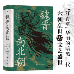 魏晋南北朝史