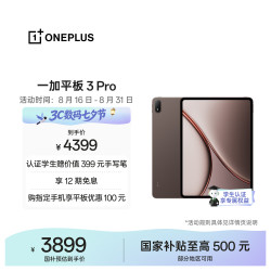 一加 3 Pro 第五代骁龙8至尊版 12GB+256GB 深棕 平板电脑