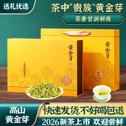 源聞白茶 安吉绿茶茶叶黄金芽新茶明前特级黄金芽奶白茶礼盒装 店长实惠装100克*2罐 罐装 200g