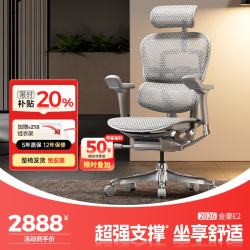 Ergonor 金豪E 2代 人体工学电脑椅 银白色 Q4.0版