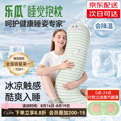 乐瓜 凉感可拆洗 加大恐龙-冰凉款 长条抱枕