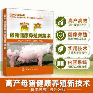 高产母猪健康养殖新技术