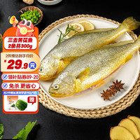 三都港 宁波三去黄花鱼 2条共300g(赠盐渍海带苗190g*1包)