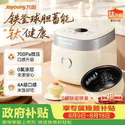 九阳 0氟系列珐琅瓷釜 电饭煲  3L