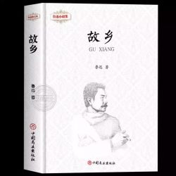鲁迅全集原著正版10册六七年级阅读书必课外阅读书籍狂人日记朝花夕拾故乡野草呐喊彷徨阿Q正传孔