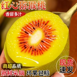 春福乐 正宗红心猕猴桃四川奇异果应季时令新鲜水果 10枚精挑果老农手挑