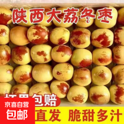 京喜加 正宗大荔冬枣无核新鲜水果冬枣红枣金丝小枣生鲜红枣冬枣 带箱2斤[单果12+】净果约1.7斤 正宗大荔冬枣